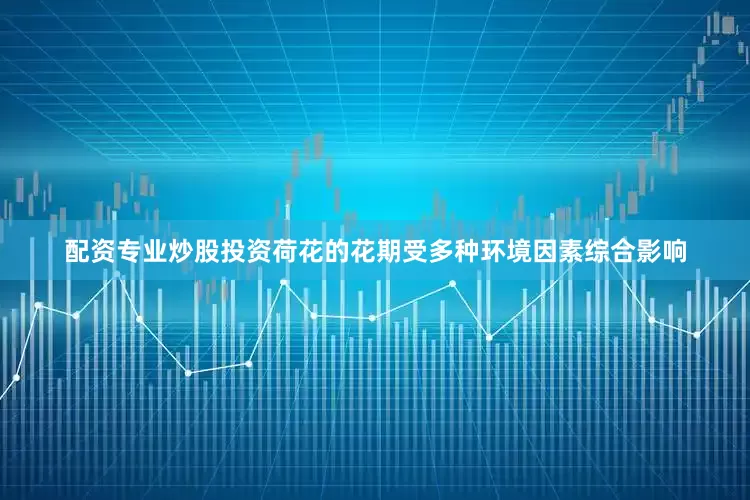 配资专业炒股投资荷花的花期受多种环境因素综合影响