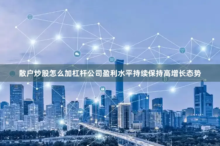 散户炒股怎么加杠杆公司盈利水平持续保持高增长态势